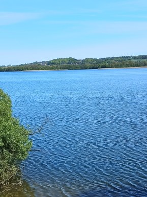 Foreign men for dating