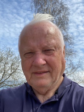 Swedish men looking for love